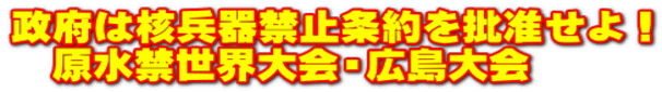 政府は核兵器禁止条約を批准せよ！ 　原水禁世界大会・広島大会